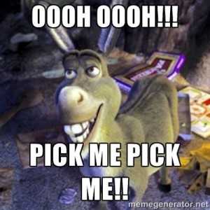 donkey