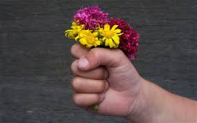 Flowers 2