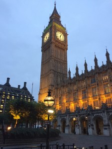 IMG_2254