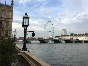 IMG_3227