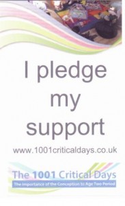 Pledge 1 001